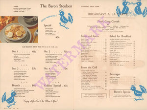 Bird with Chicks Baron Steuben Hotel Corning NY 1950s Posters Prints & Visual Artwork