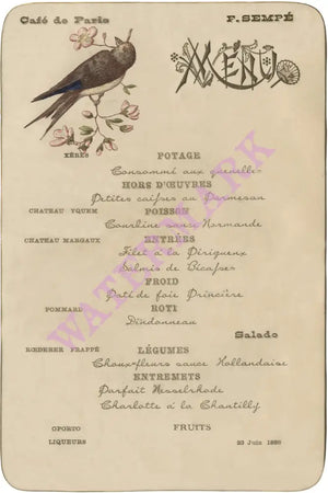 Café de Paris (Bird), Buenos Aires, June 1888 Menu Art