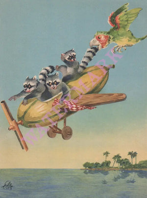 SS Nassau 1952 MENU ART DESIGN