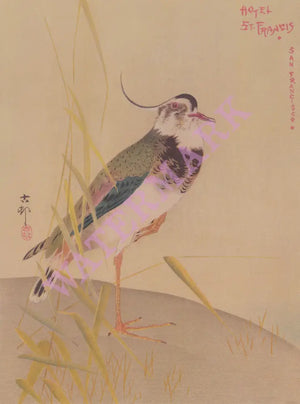 St Francis Hotel, San Francisco 1915 (2)