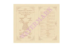 Clifton House, Niagara Falls, 1855