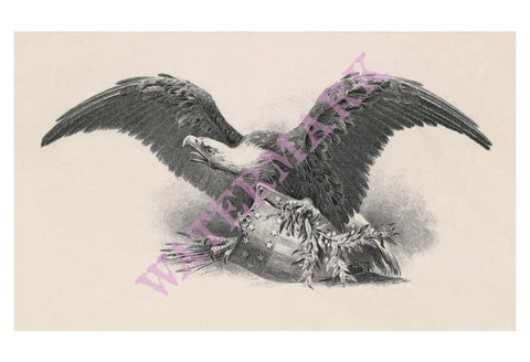 Detail Of The American Eagle On Top Of President Theodore Roosevelt's Tour Of The Northwest 1902