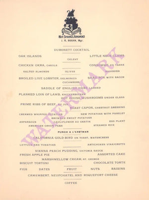 Eastman Hotel Hot Springs Arkansas 1910 Posters Prints & Visual Artwork