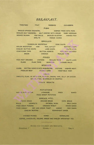 Fifth Avenue Hotel Menu, New York 1900