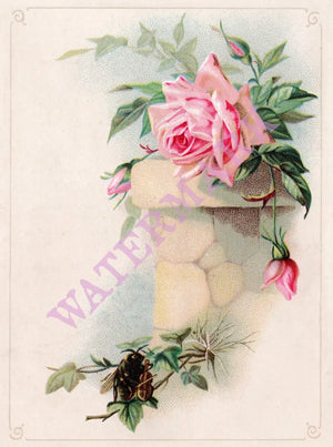 Idanha Hotel 2 Soda Springs Idaho 1890 Posters Prints & Visual Artwork