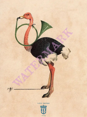 S.S. Conte Verde 1939 Ostrich playing a french horn