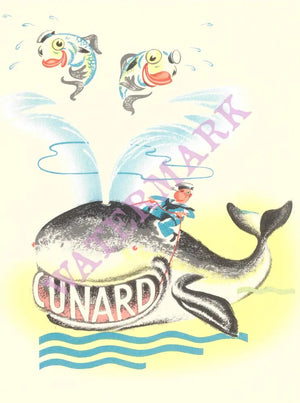 S/S Ivernia 1955 Ocean Liners