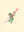 SS Roma 1937, Frog with Lute Menu Art