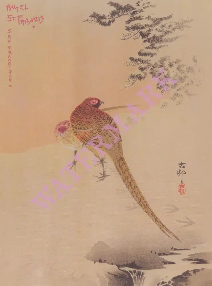 St Francis Hotel, San Francisco 1915 Pheasant