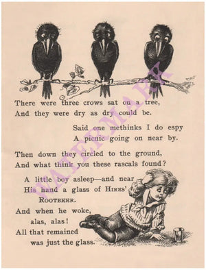 Three Thirsty Crows Hires' Root Beer