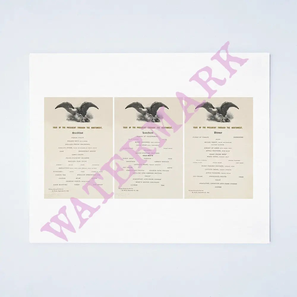 Tour Of President Theodore Roosevelt Through The Northwest 1902 (Breakfast, Lunch & Dinner Menus)