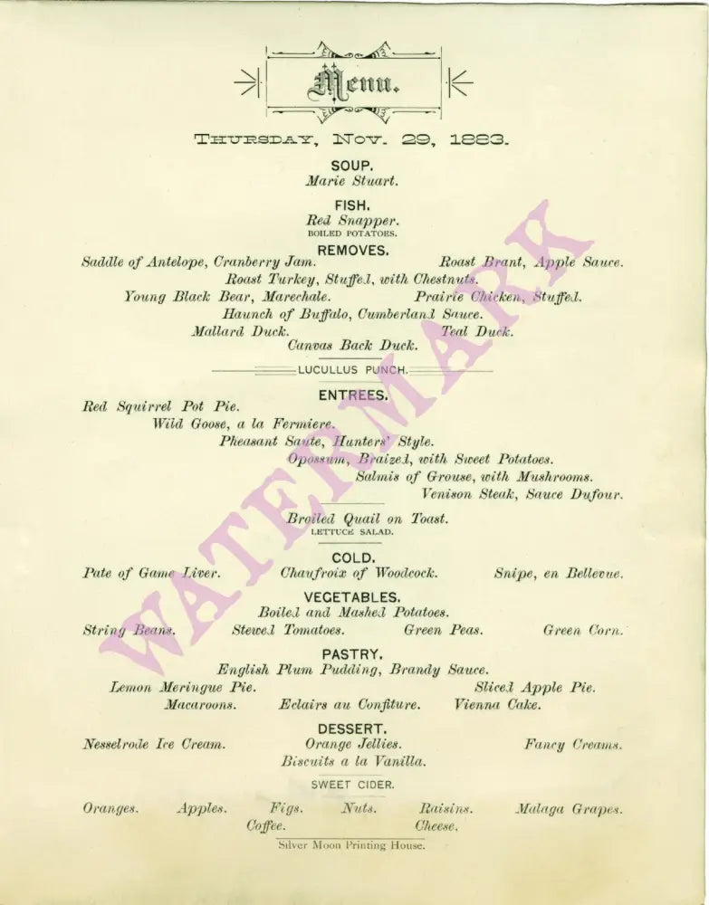 Windsor Hotel, St Paul, Thanksgiving 1883