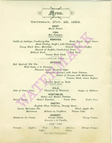 Windsor Hotel, St Paul, Thanksgiving 1883